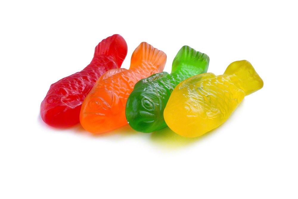 Gummy Fish for Sale Fish Gummies Bulk Gummy Fish Candy