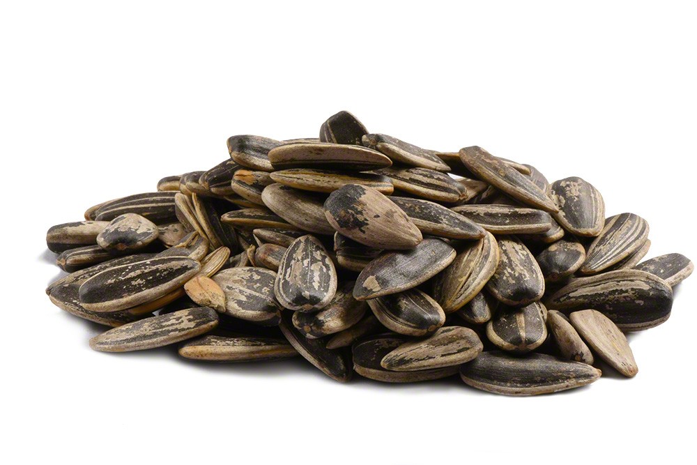 Roasted Unsalted Sunflower Seeds In Shell Bulk