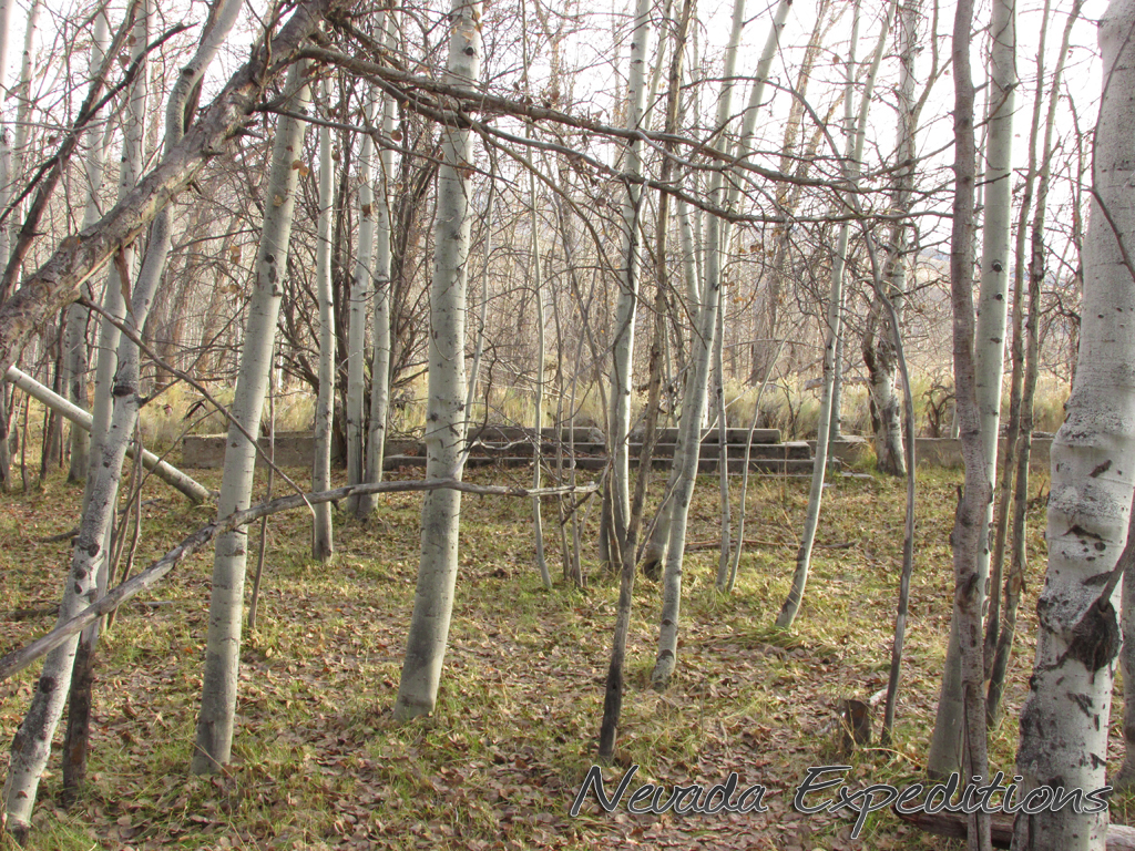 Fort Halleck • Nevada Expeditions