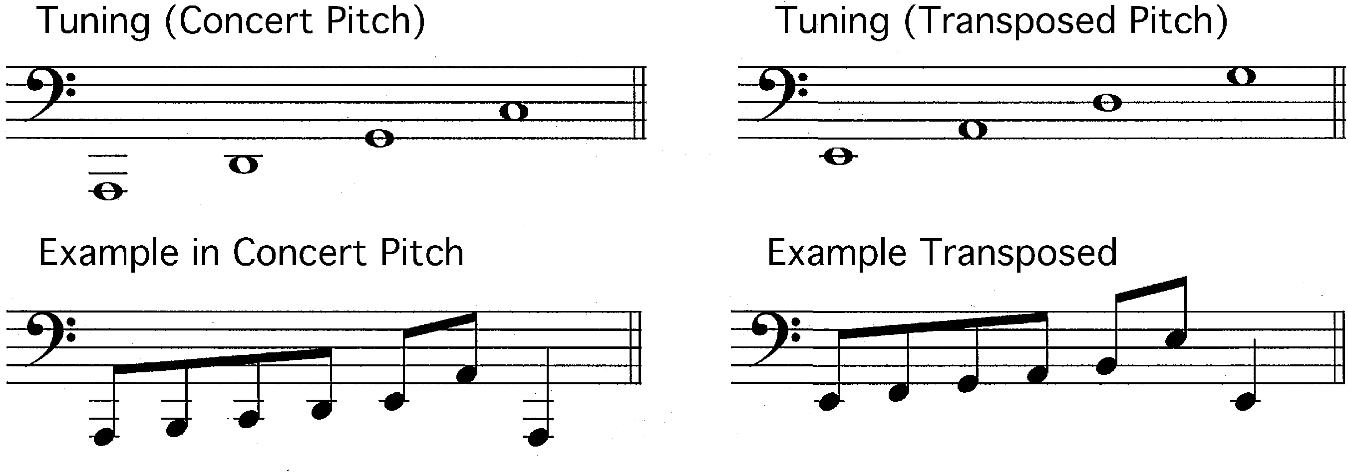 The New Violin Family