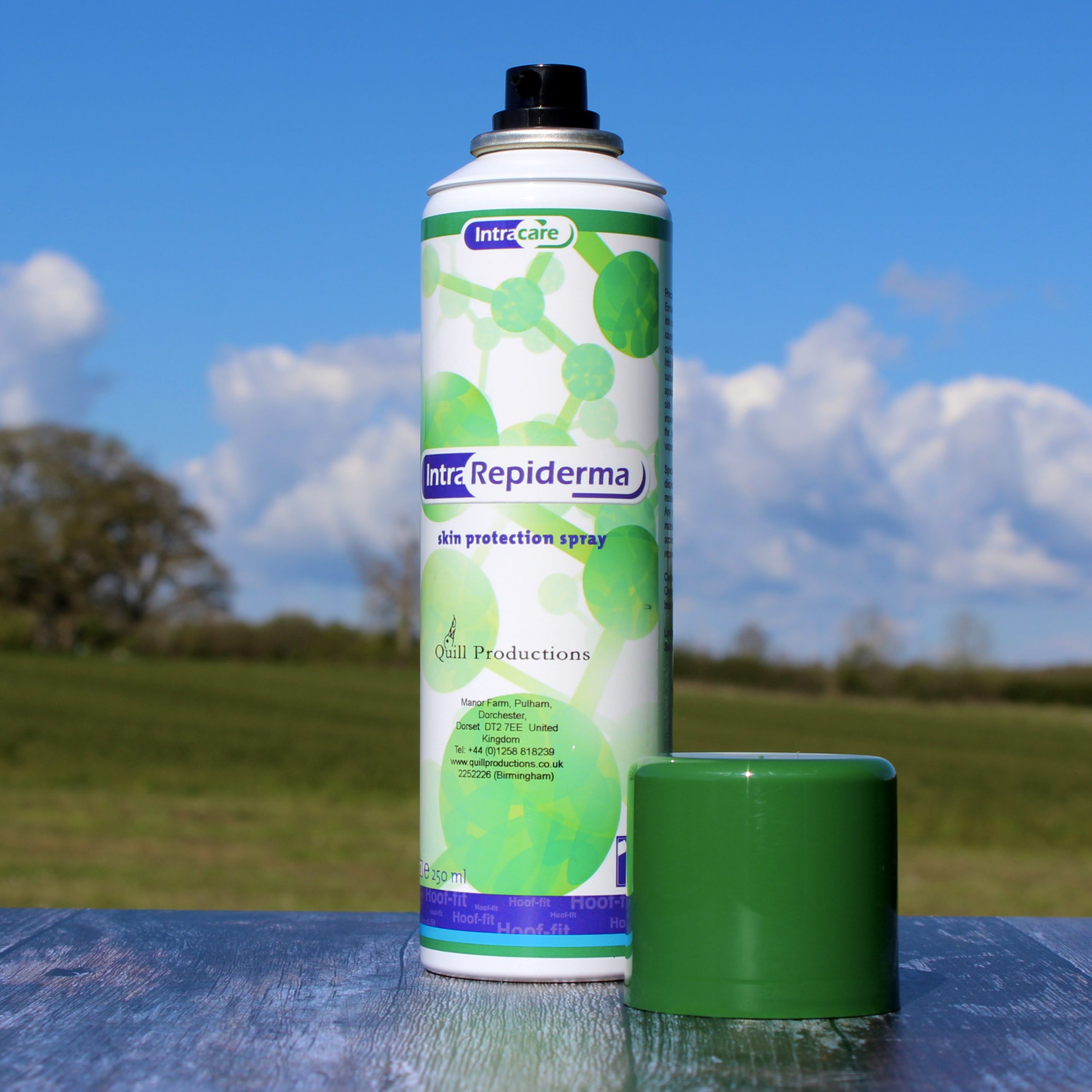 Repiderma Aerosol Spray National Veterinary Services