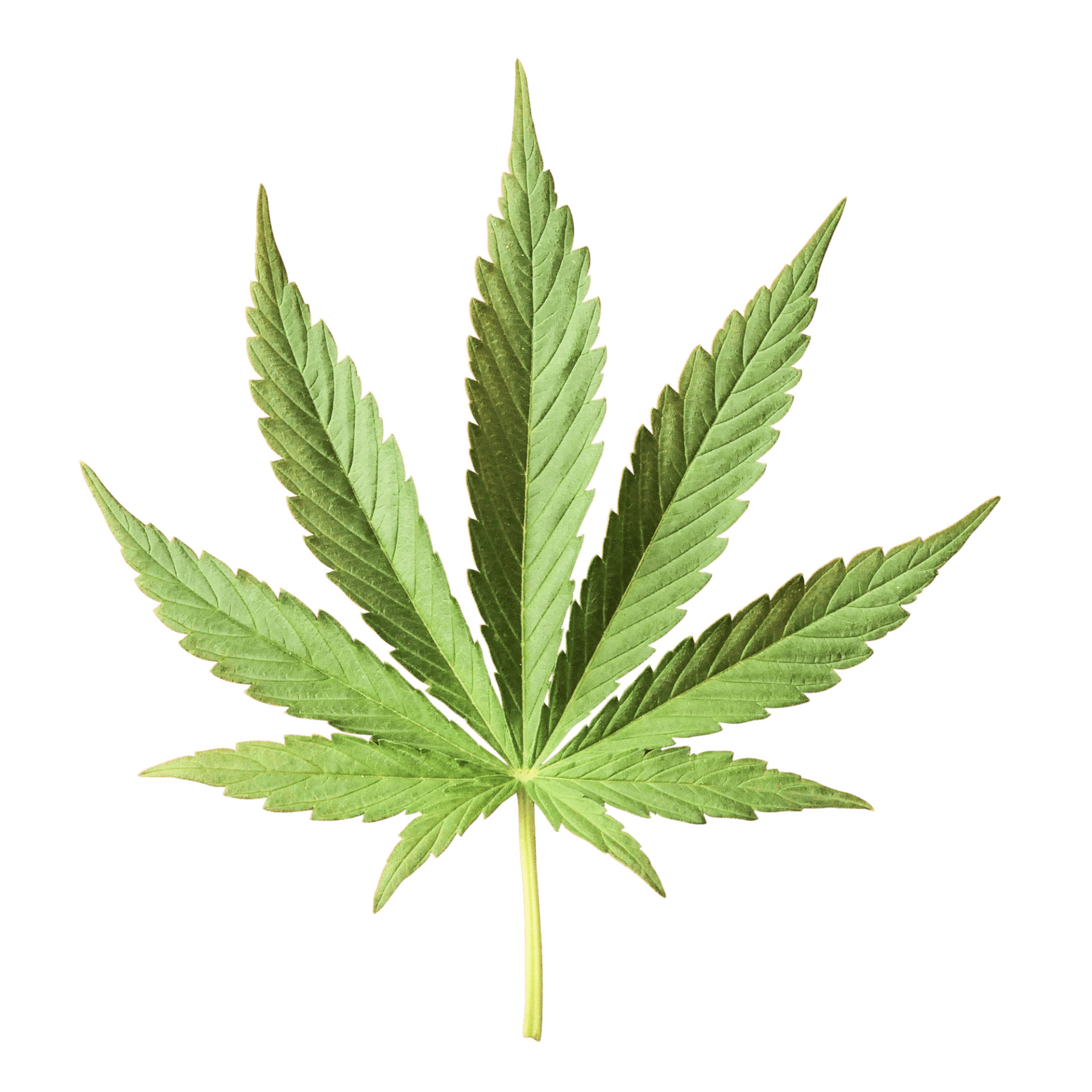 PRIVATE RESERVE Northwest Cannabis Solutions