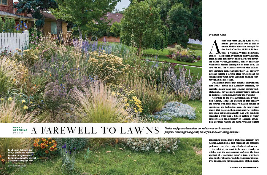 There are a variety of issues that may come up while maintaining your yard. A Farewell To Lawns