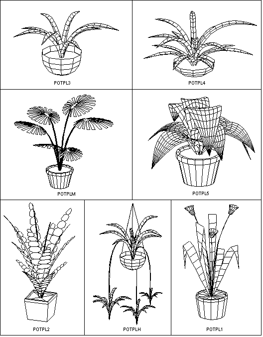 CATALOG PAGE 24 HOUSE PLANTS