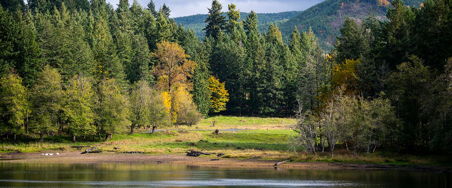 NORTHWEST TREK CELEBRATES 45TH BIRTHDAY Northwest Trek