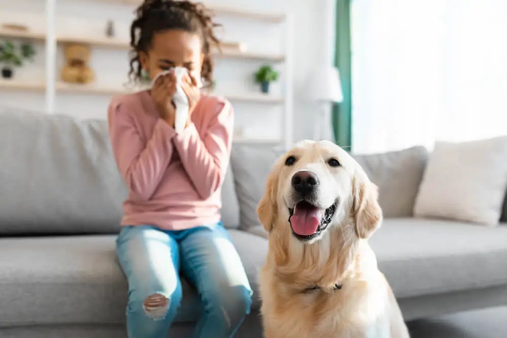 Animal and Pet Allergies NY Allergy & Sinus Centers