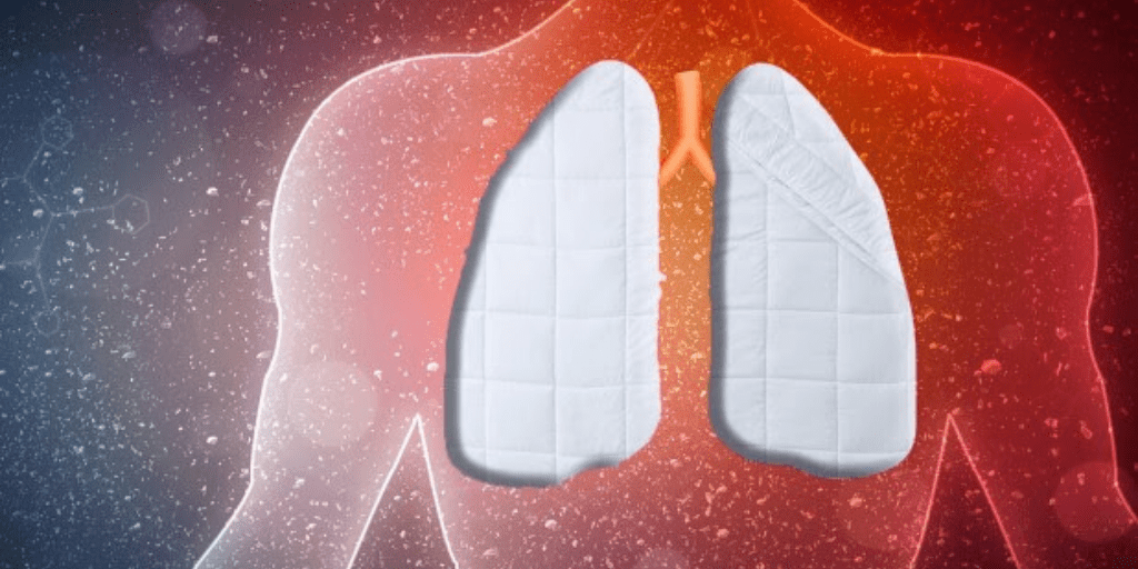 Feather Duvet Lung Disease New York Allergy and Sinus Centers