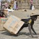 Six children abducted by Murle in Eastern Equatoria handed back to their parents
