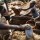 Communities urged to protect natural resources from illegal extractions