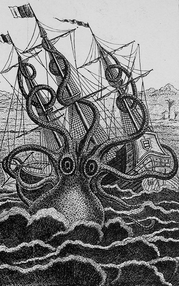 Octopus The Footed Void by Caspar Henderson NYR Daily The New