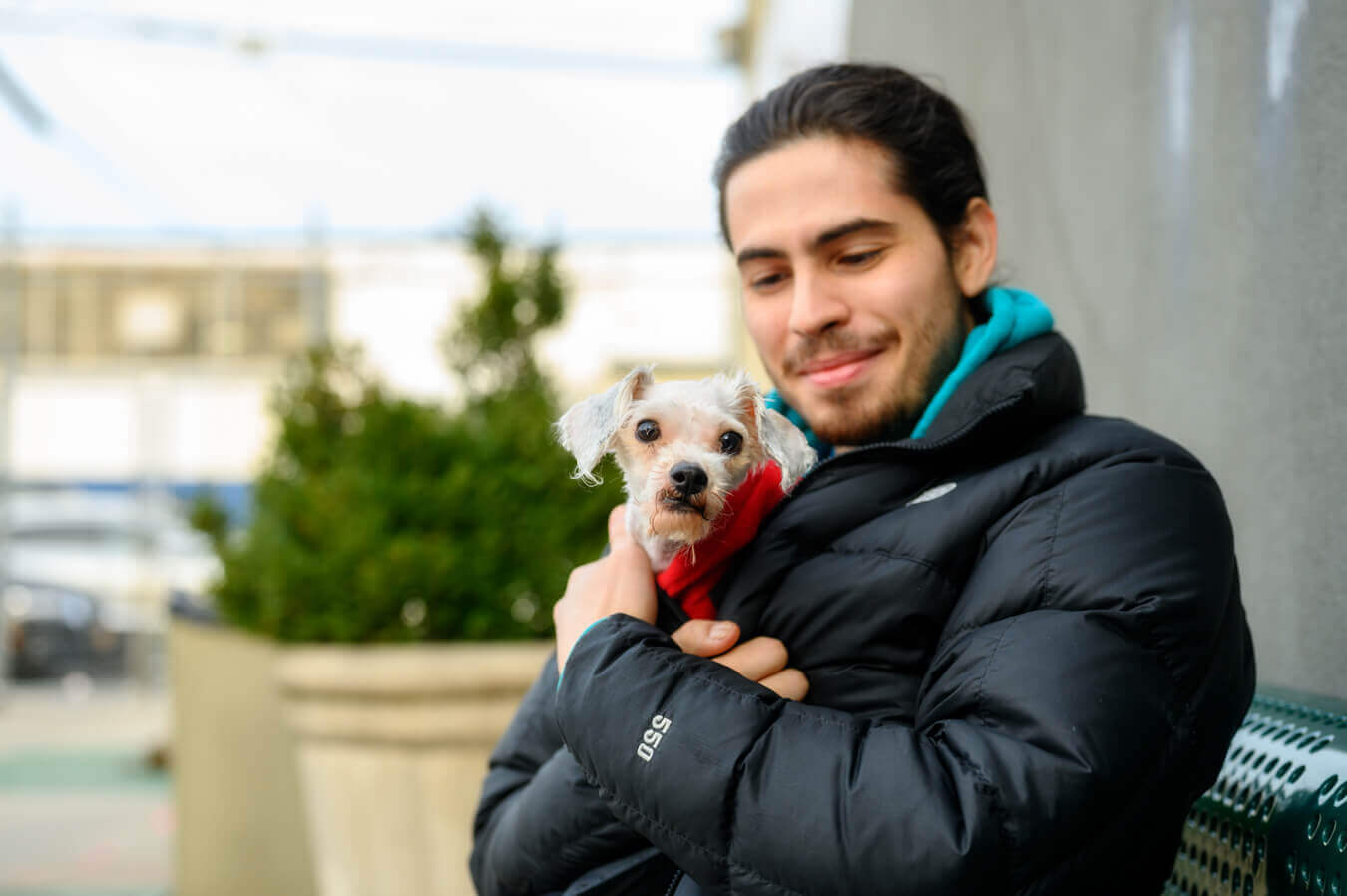 How You Can Help Animal Care Centers of NYC