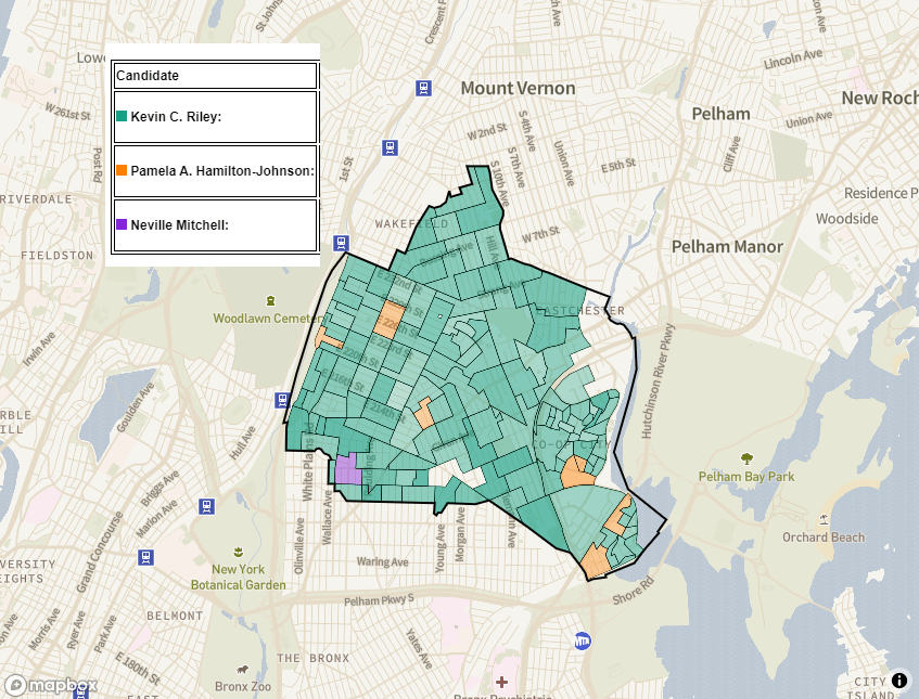 2020 City Council District 12 Special Election (Unofficial Election