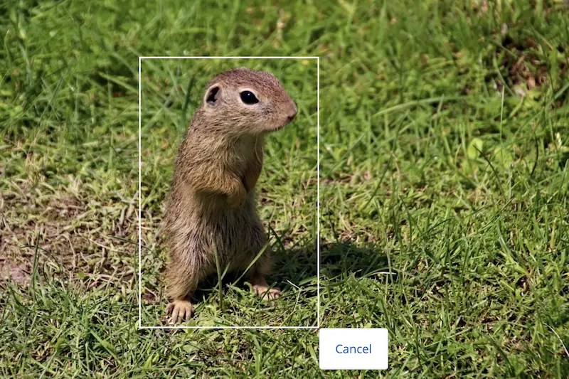 Bounding Box Model Overview Nyckel
