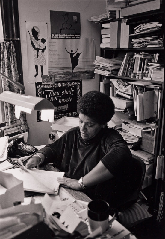 Audre Lorde &amp; Frances Clayton Residence NYC LGBT Historic Sites Project