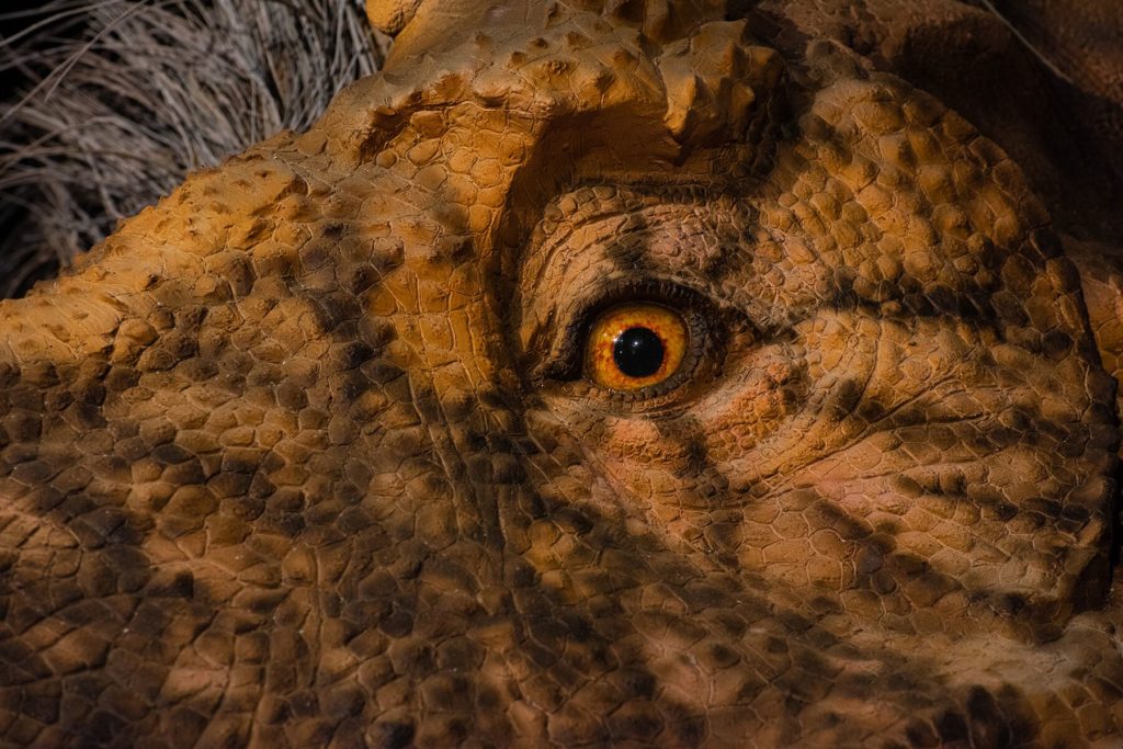 TRex The Ultimate Predator Exhibition at the American Museum of