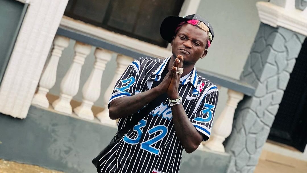 Portable Zazu NY DJ Live