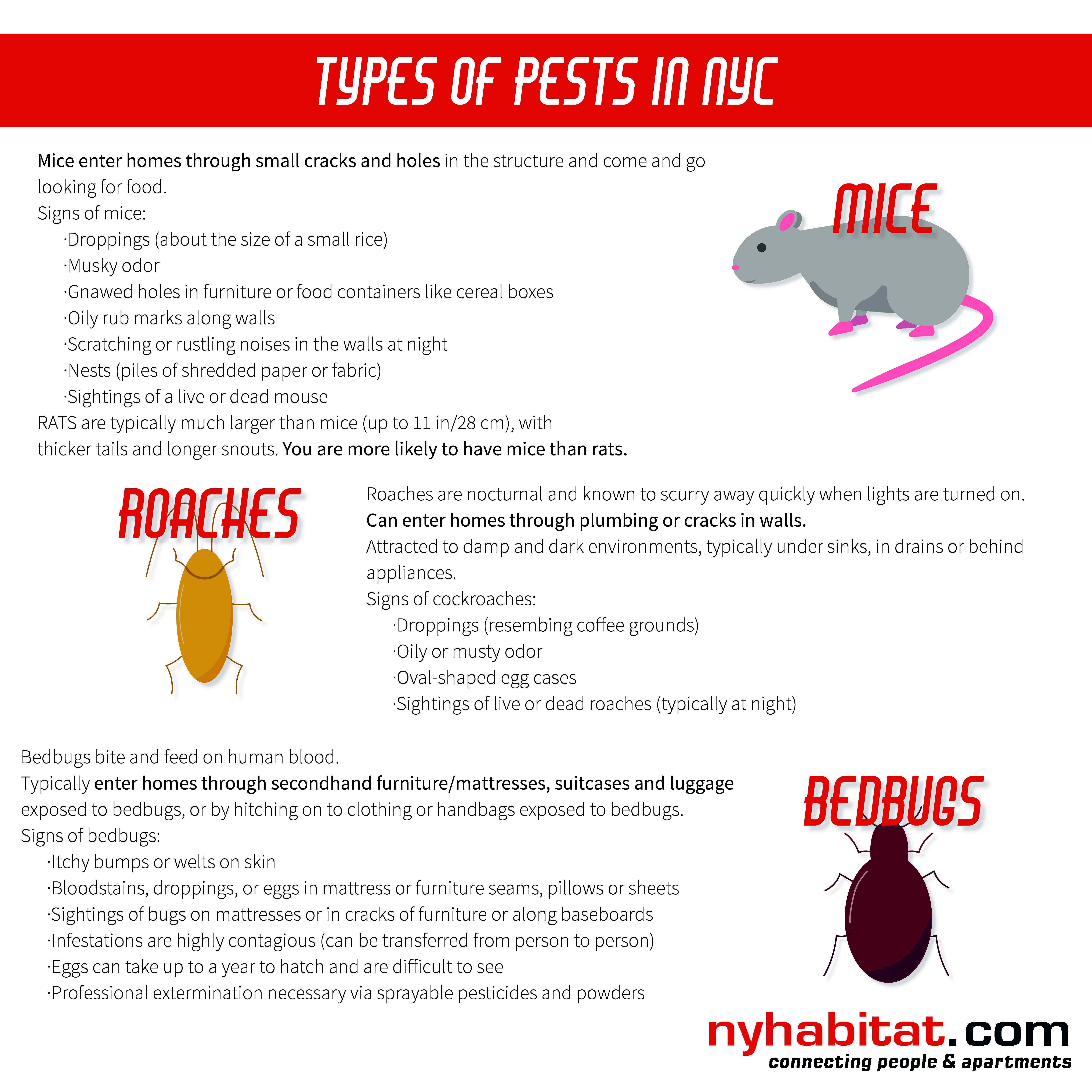 Pest Control Apartment Laws Pest Control Pest Control Apartment Laws Pest Control
