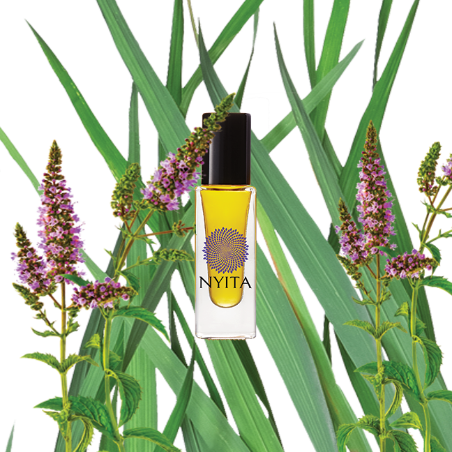 FIRST LIGHT BATH & SHOWER SAMPLE NYITA