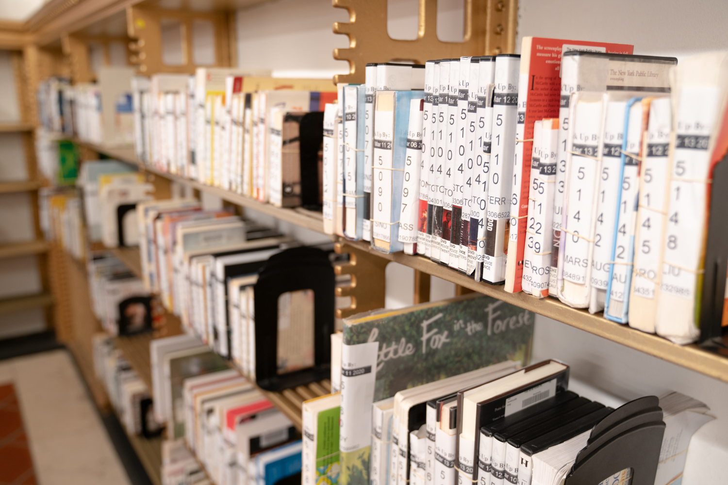 Everything You Always Wanted to Know About Putting a Book on Hold (But Were Afraid to Ask) The