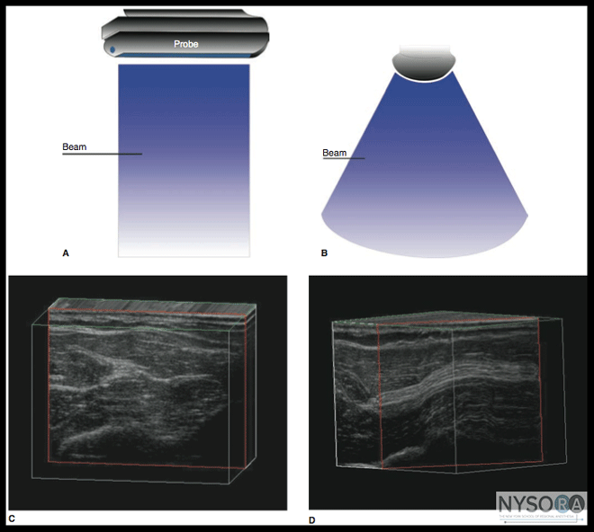 Automatic Transducers Sonography folder
