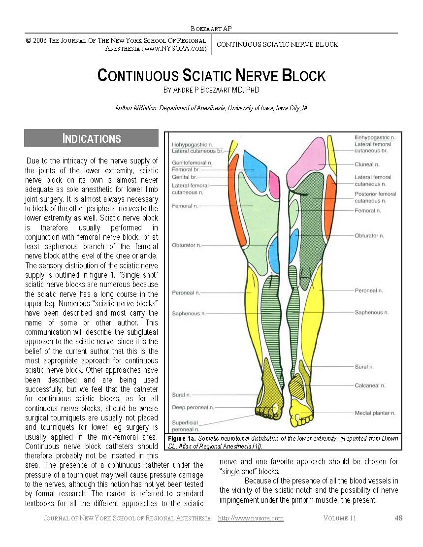 CONTINUOUS SCIATIC NERVE BLOCK NYSORA