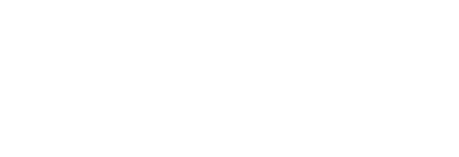 New York Vehicle Inspection Program (NYVIP3)