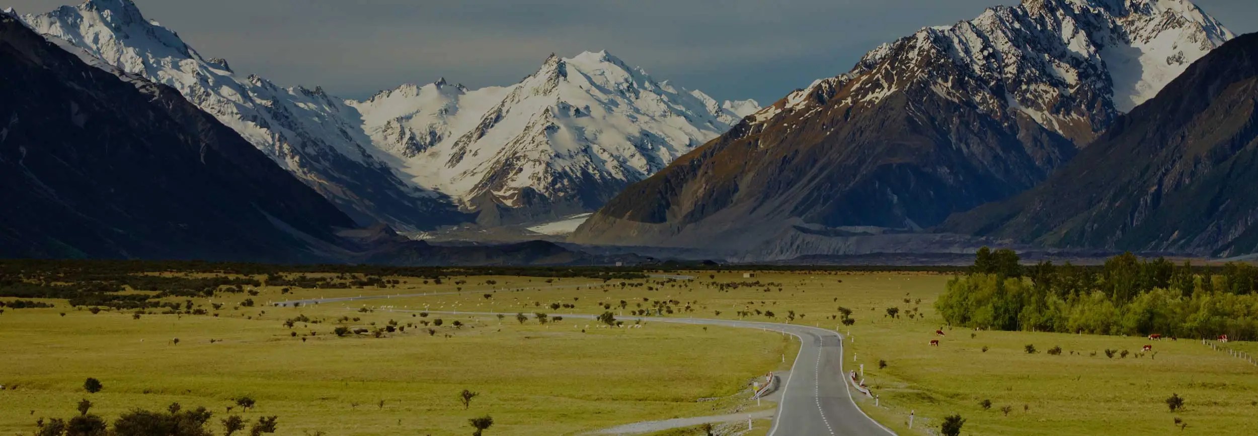 New Zealand eTA Apply For NZeTA Online