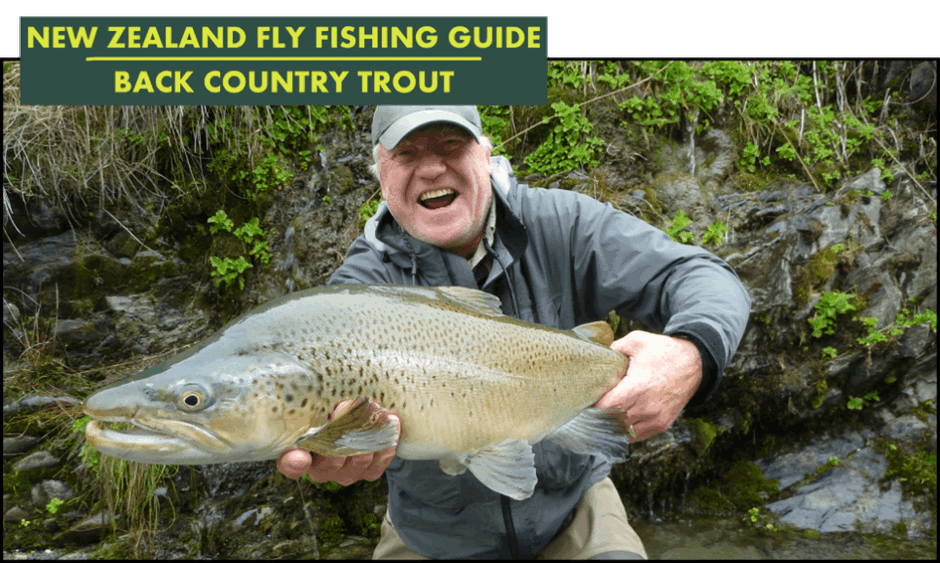 Fishing Tours in New Zealand NZ Fly Fishing Guide Back Country Trout