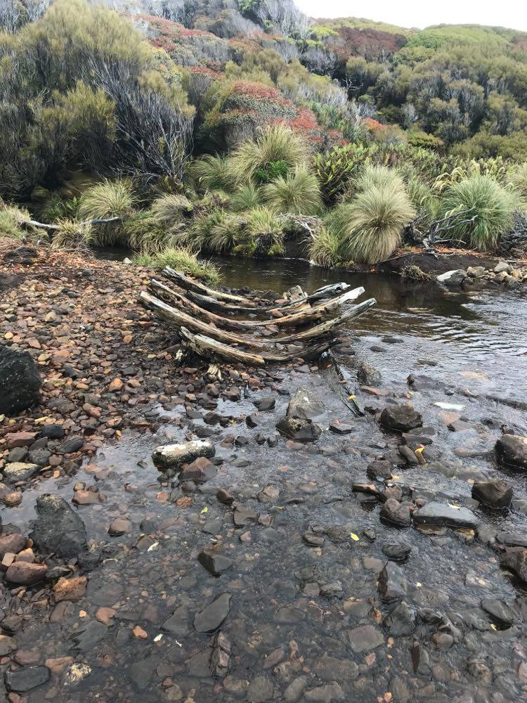 In Search Of The South Page 3 of 5 New Zealand Surf Journal