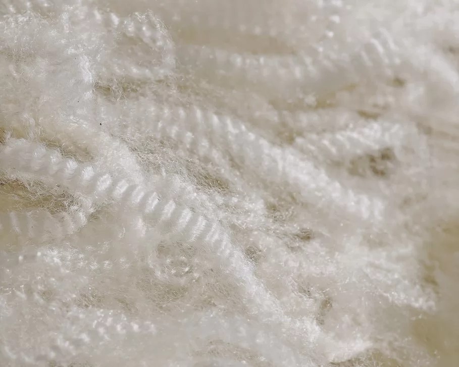 Why New Zealand Wool? Campaign for Wool