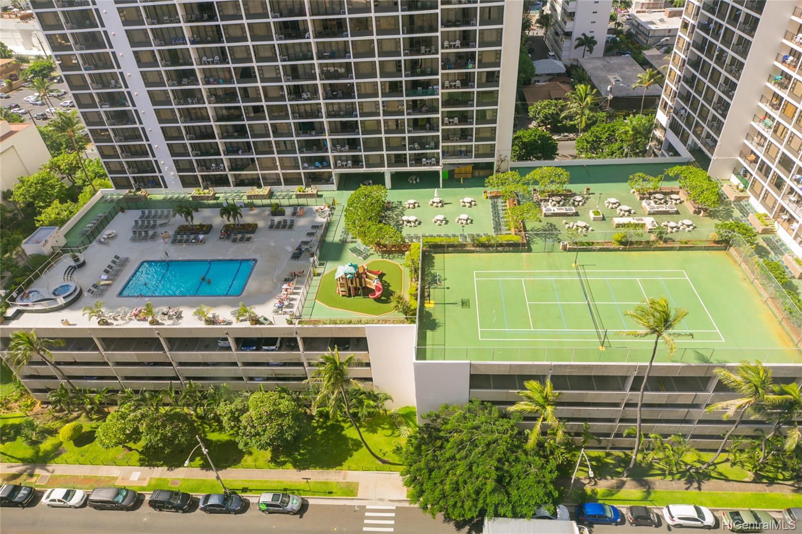 Waikiki Banyan for Sale