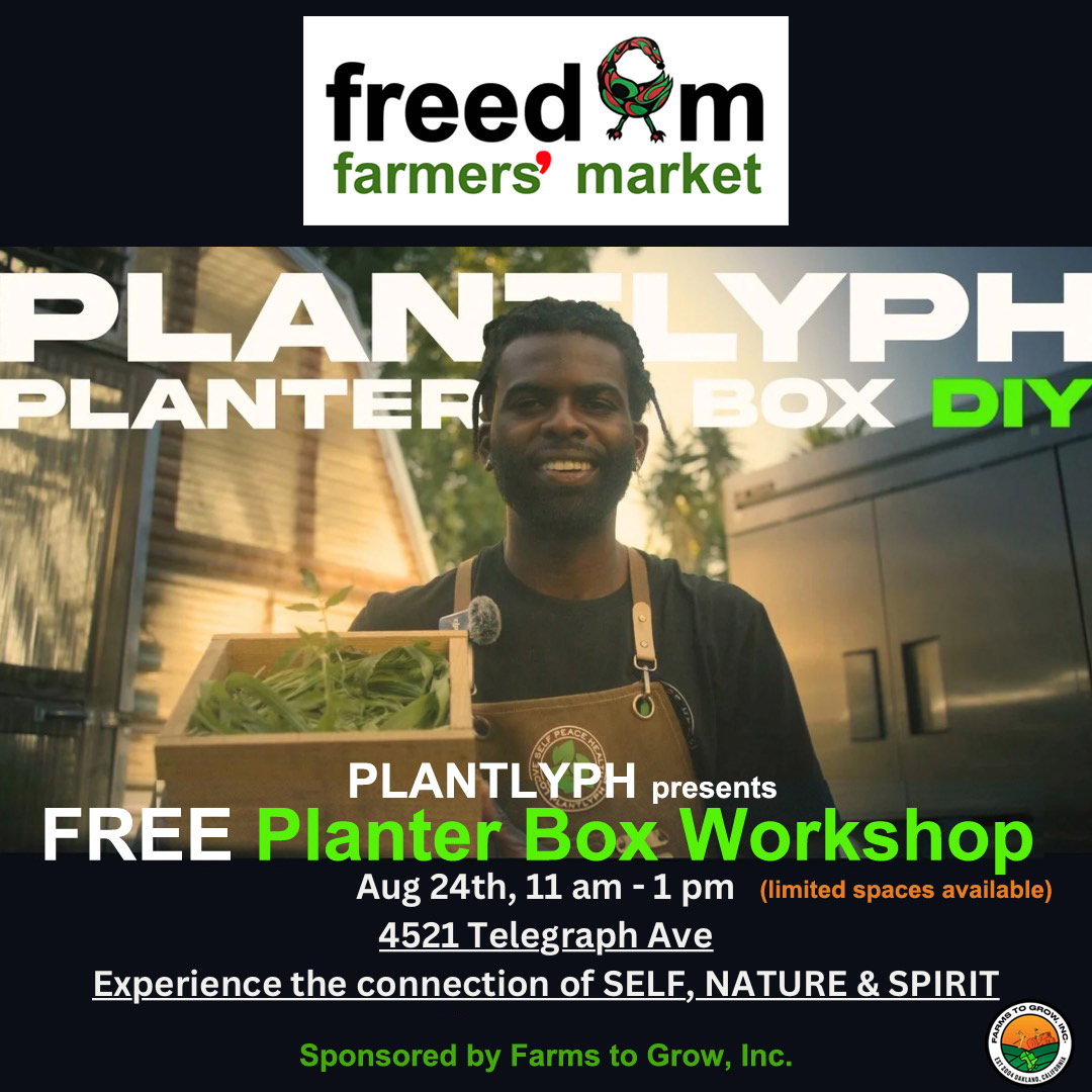 Build a Planter Box Oakland Central