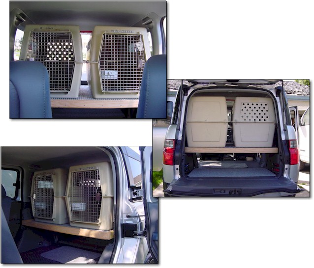 Projects Honda Element Dog Platform