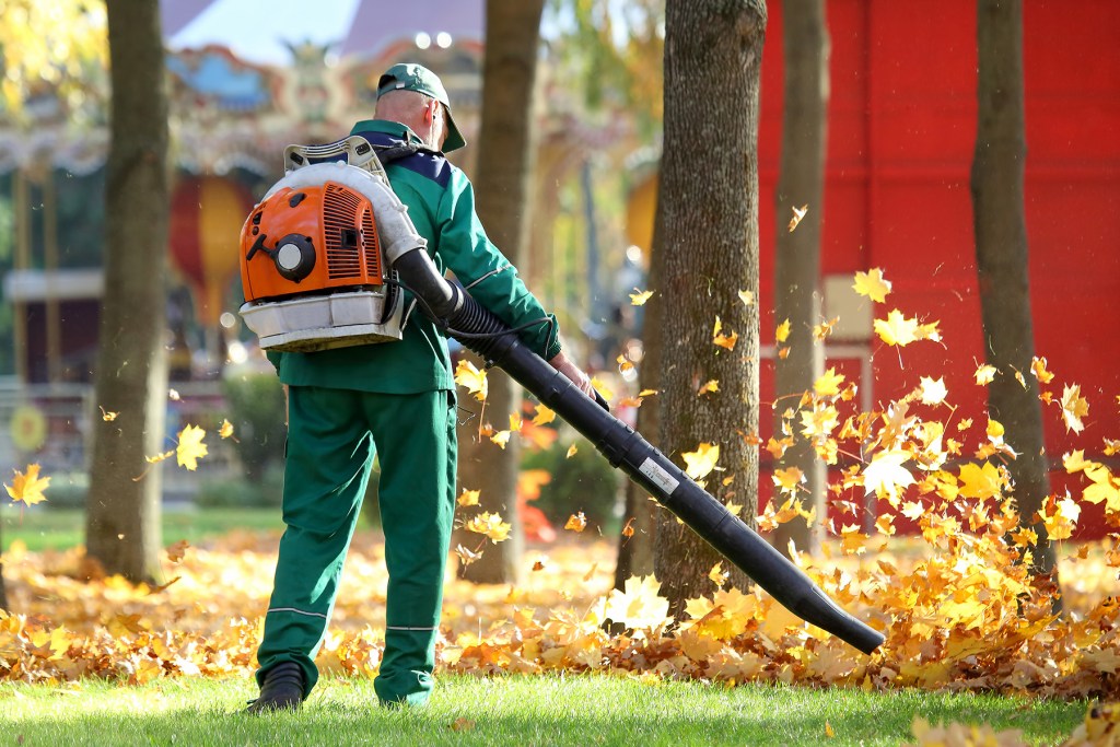 Why do we tolerate gaspowered leaf blowers? Wednesday Journal