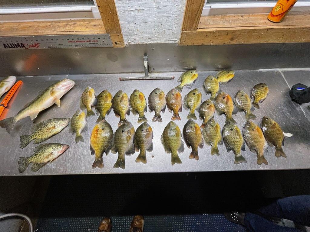 Spear Fishing & Ice Fishing Oak Point Resort Leech Lake MN Lodging