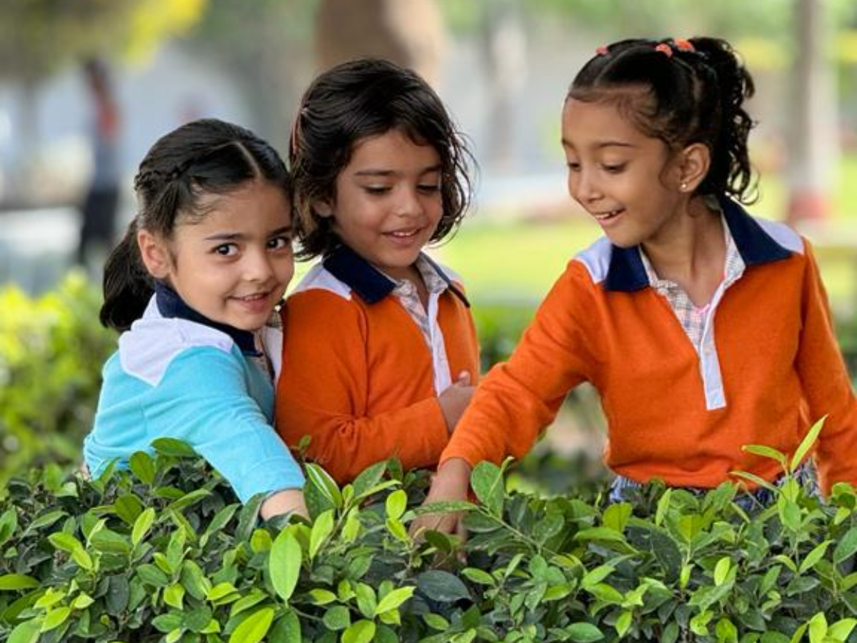 Nature's Classroom How Outdoor Learning Benefits Early Childhood