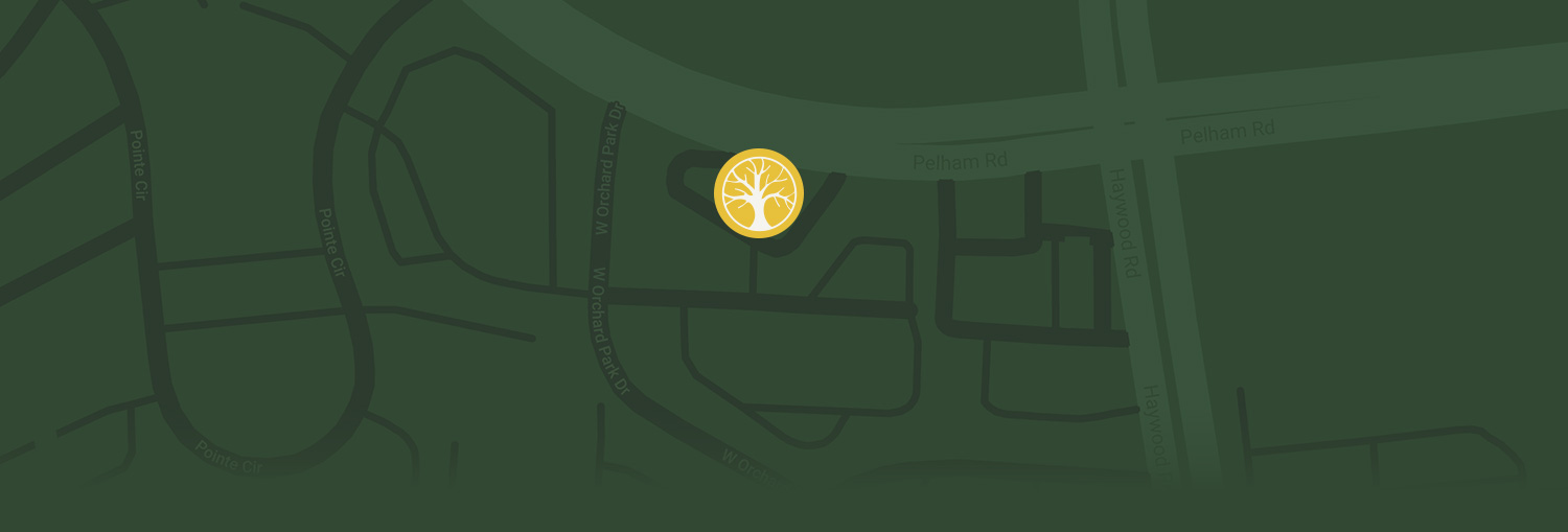 Pediatric Dentist Greenville SC Dentistry for Different Age Groups Oak Tree Pediatric Dentistry