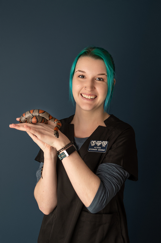 Alyssa Oakview Veterinary Medical Center in Plover, MI