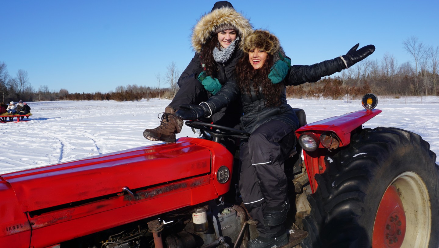 Limestone District School Board Study in Ontario OASDI