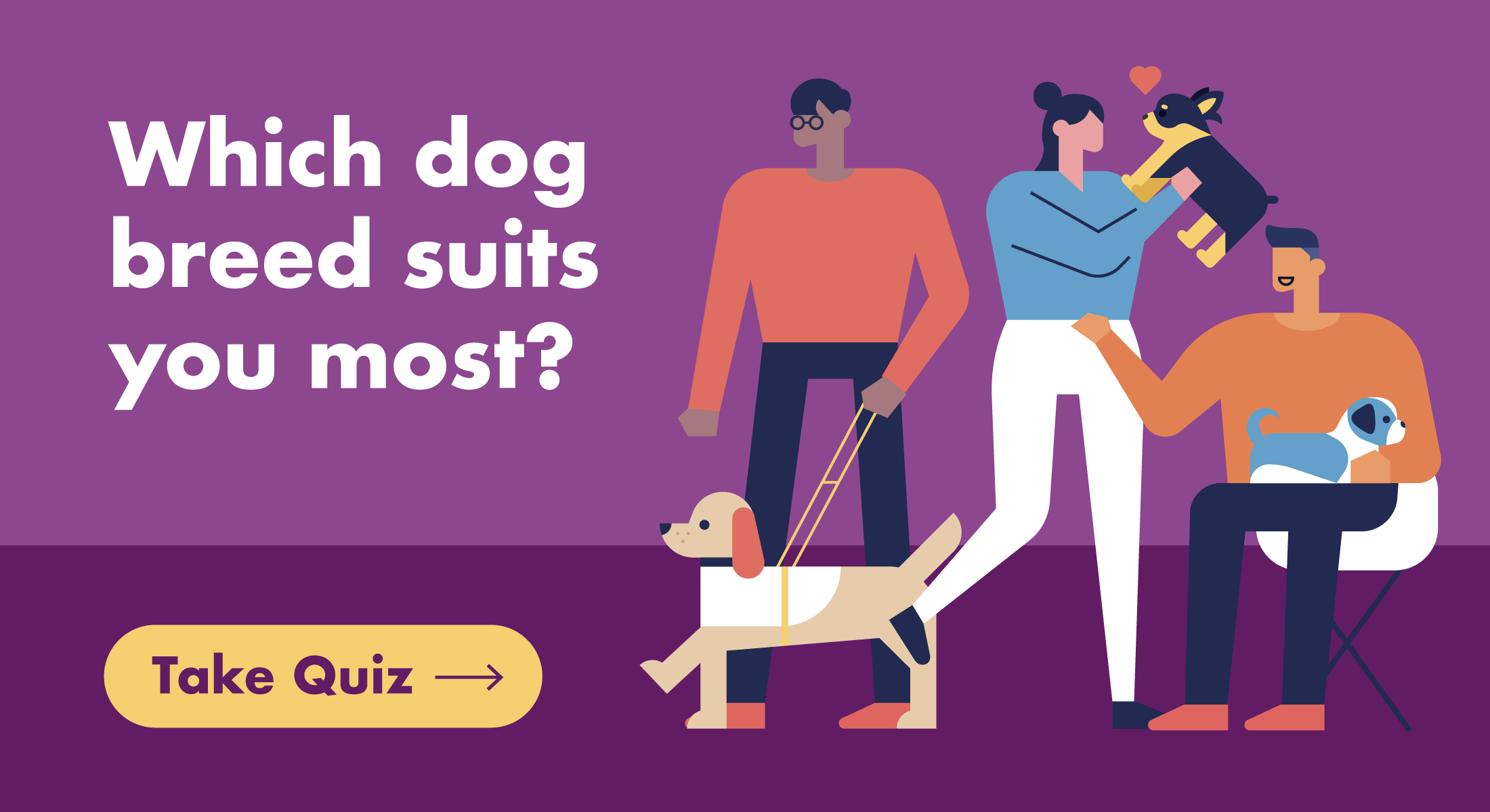 SuperDog Which dog breed suits you? Quiz [Embed code] Oath Studio