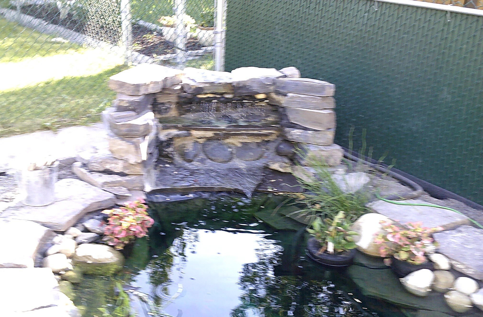 Calgary Tropical Fish and Aquarium Resources Brent's Basement