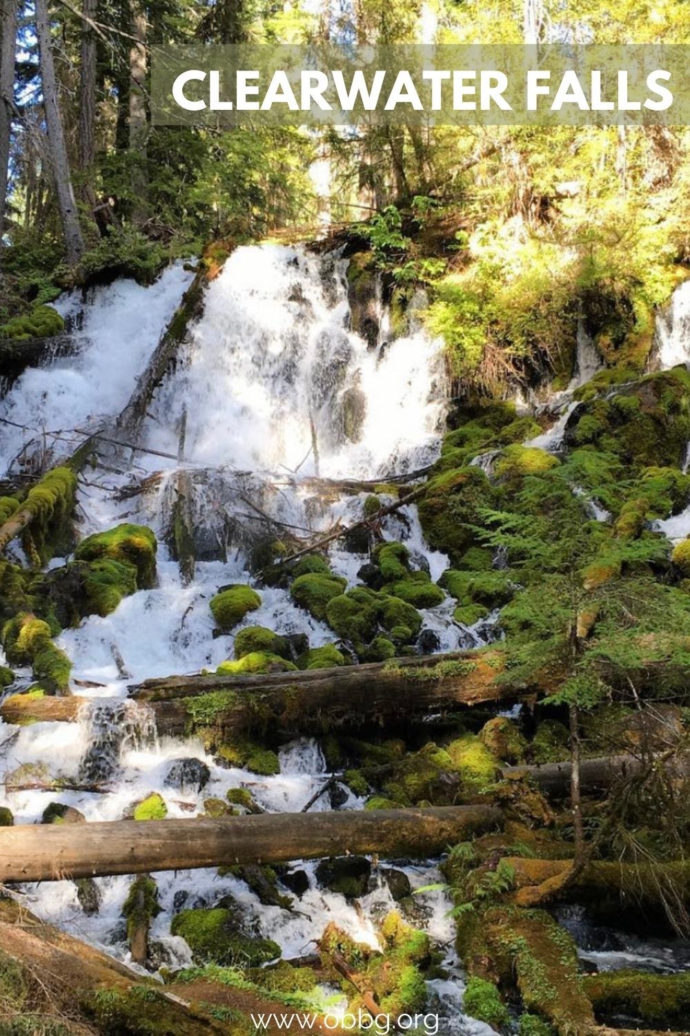 Clearwater Ontario Oregon at Amber Calvin blog