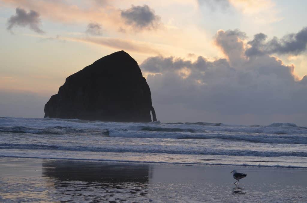 Oregon Coast and Bed and Breakfasts of the OBBG