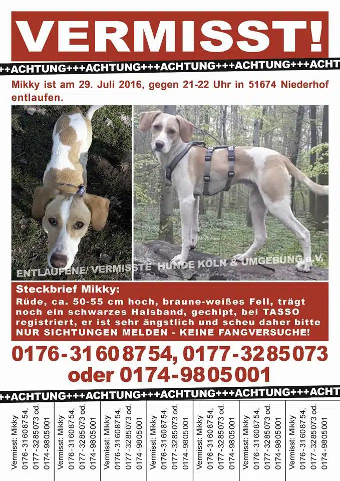 ACHTUNG!!! Hund Vermisst Ihre Hilfe wird gebraucht!