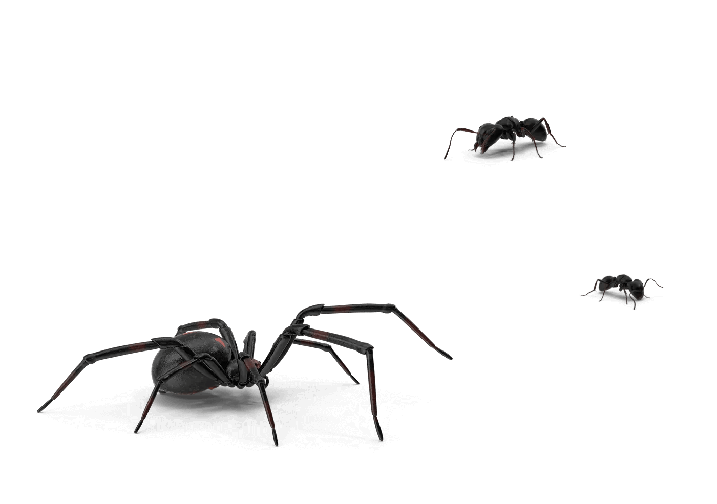 Easy Brighton, Denver, Firestone, Dacono, Erie, Colorado front range