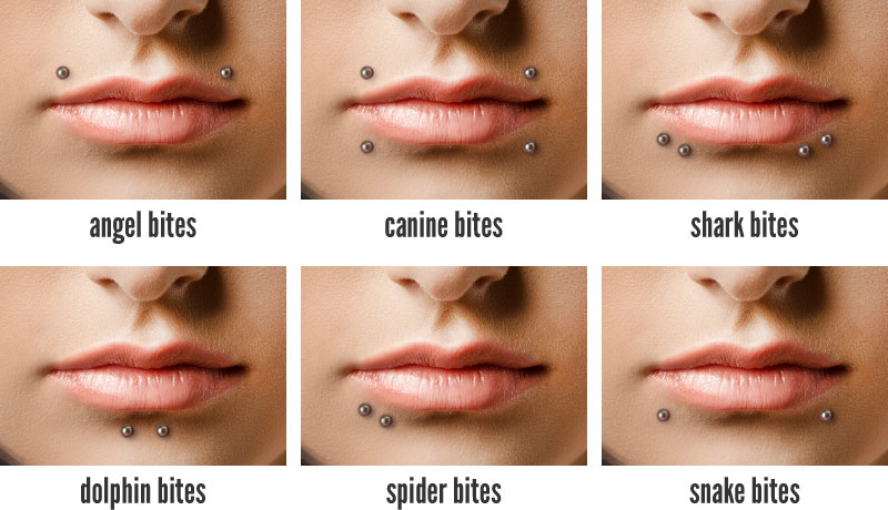 Lip Piercing Types