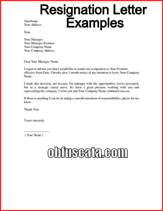Resignation Letter Examples Resignation Letter Examples