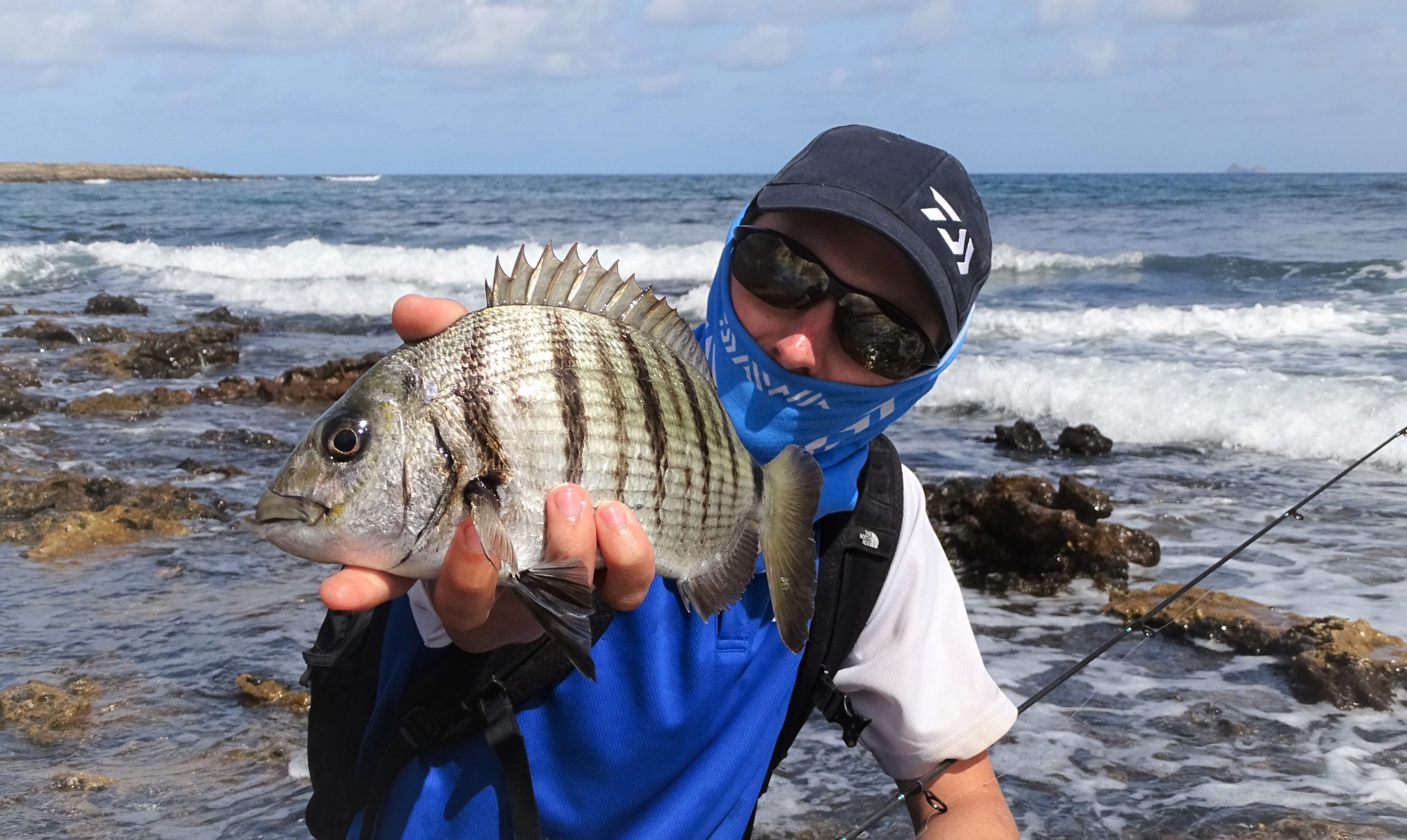Tout savoir sur la pêche du sar, techniques et conseils