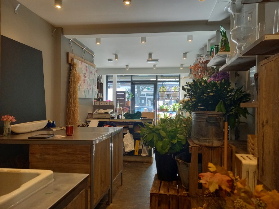 Pitshanger Lane, Ealing, Shop