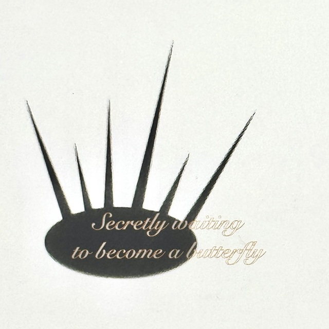 New Album: hanl – ‘Secretly Ready to Develop into a Butterfly’